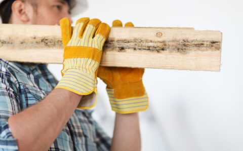 close up of male in gloves carrying wooden boards
